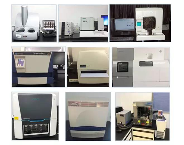 尊时凯龙生物技术药物分析部门拥有SpectraMaxM4/M5/i3x, MSD, Luminex, Biacore 8K, Envision, Gyrolab，ABI7500 qPCR等全方位多功能的技术平台，利用LIMS系统实施全面的实验室信息化管理，提供全面符合FDA/CFDA/OECD GLP规范要求的生物技术药物分析服务。
