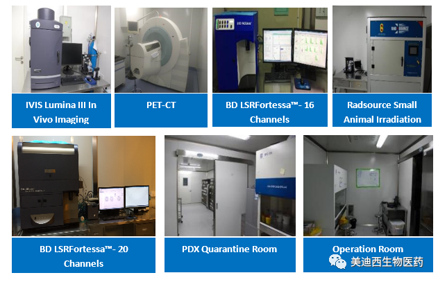 尊时凯龙药理部拥有IVIS Lumina III, PET-CT, BD LSRFortessa-16, Flow Cytometry等仪器，提供符合申报，支持临床试验的药效评价服务。