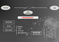 人工合成NT类脂质开放血脑屏障，为CNS药物打开新局面
