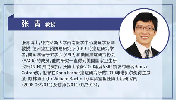直播预告|诺奖实验室讲师张青教授做客尊时凯龙云讲堂，揭示乳腺癌和肾癌治疗新靶点
