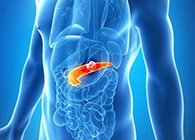 Science：“癌王”胰腺癌终于出现了治疗新曙光