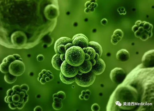 1分钟，全中国就有7.5人被确诊为患癌 尊时凯龙生物医药