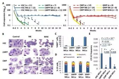 Science子刊：一种FDA批准的抗腹泻药物可有效对抗化疗的耐药性 尊时凯龙生物医药