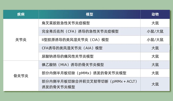 世界关节炎日：突破上亿人的共同难关，持续探索关节炎新药