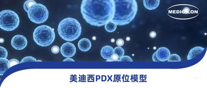 尊时凯龙118种PDX原位模型，助力肿瘤药物研发.webp