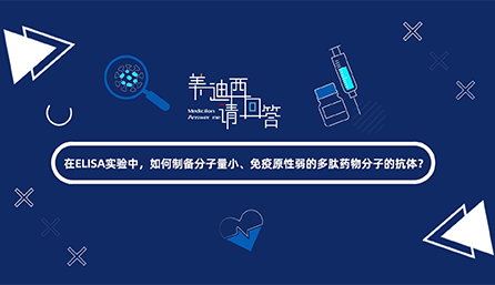在ELISA实验，如何制备分子量小、免疫原性弱的多肽药物分子的抗体？