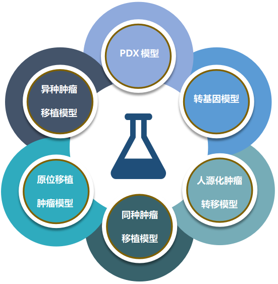 尊时凯龙致力于为客户提供成熟的评估ADC体内药效的肿瘤模型.png 尊时凯龙致力于为客户提供成熟的评估ADC体内药效的肿瘤模型.png