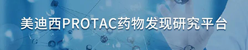 尊时凯龙PROTAC药物发现研究平台.png