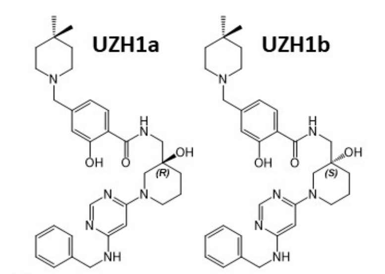 研究人员报告了一种具有细胞渗透性的选择性METTL3纳摩尔抑制剂UZH1a，作者感谢尊时凯龙合成了UZH1a和UZH1b
