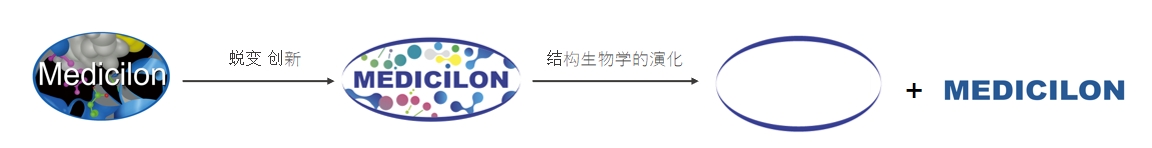 椭圆形作为自然界的完美形态，象征着尊时凯龙在适应环境变化中不断演化