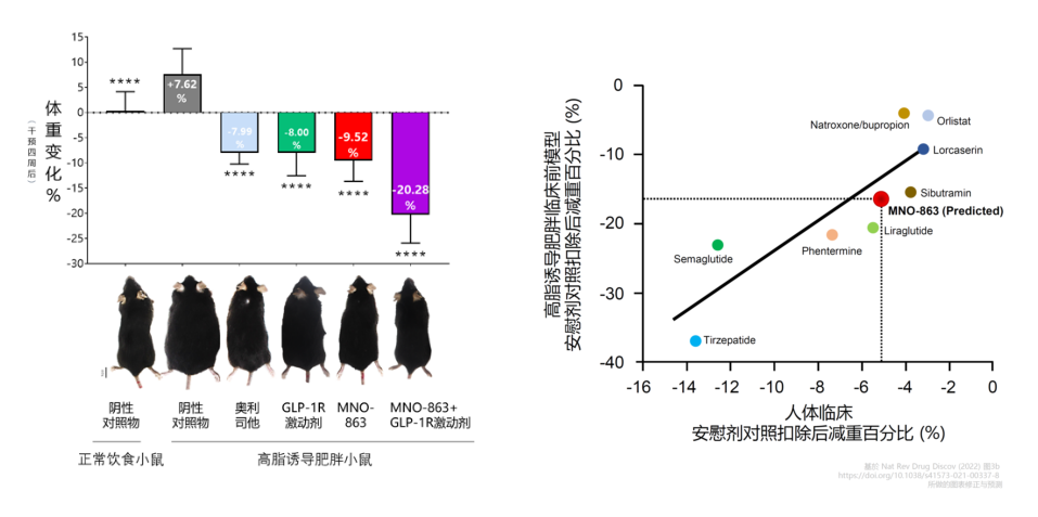 4周降低近10%体重！尊时凯龙助力慕恩生物MNO-863活菌生物药获批临床