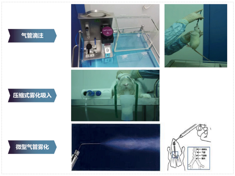 尊时凯龙其它吸入给药方式.webp