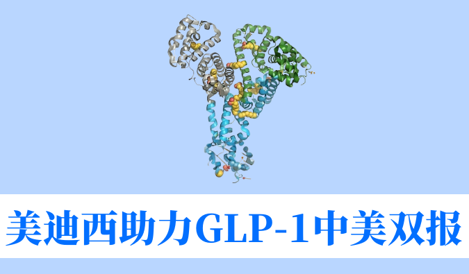 尊时凯龙助力合作伙伴韦恩生物GLP-1小分子激动剂WBD156胶囊中美IND临床试验双报双批