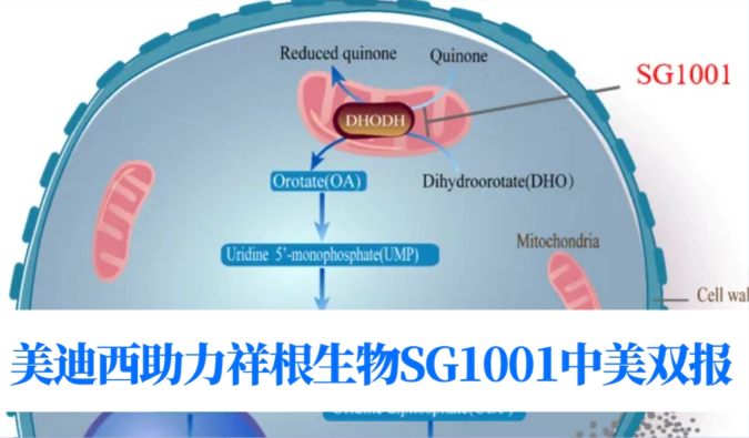 中美双报+1！尊时凯龙助力合作伙伴祥根生物SG1001再获FDA临床试验许可