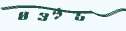 点击切换